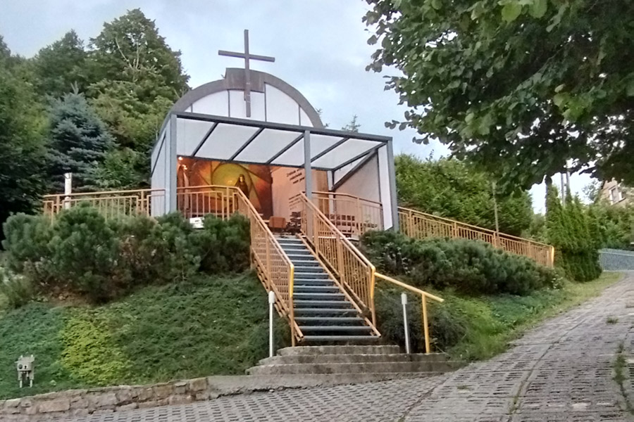 Cisownica - lipiec 2025