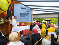 Cisownica: maj za nami