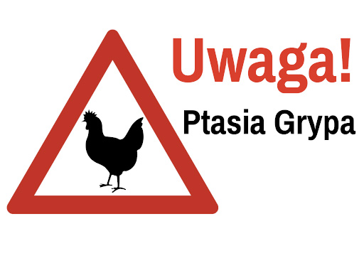 Ptasia grypa